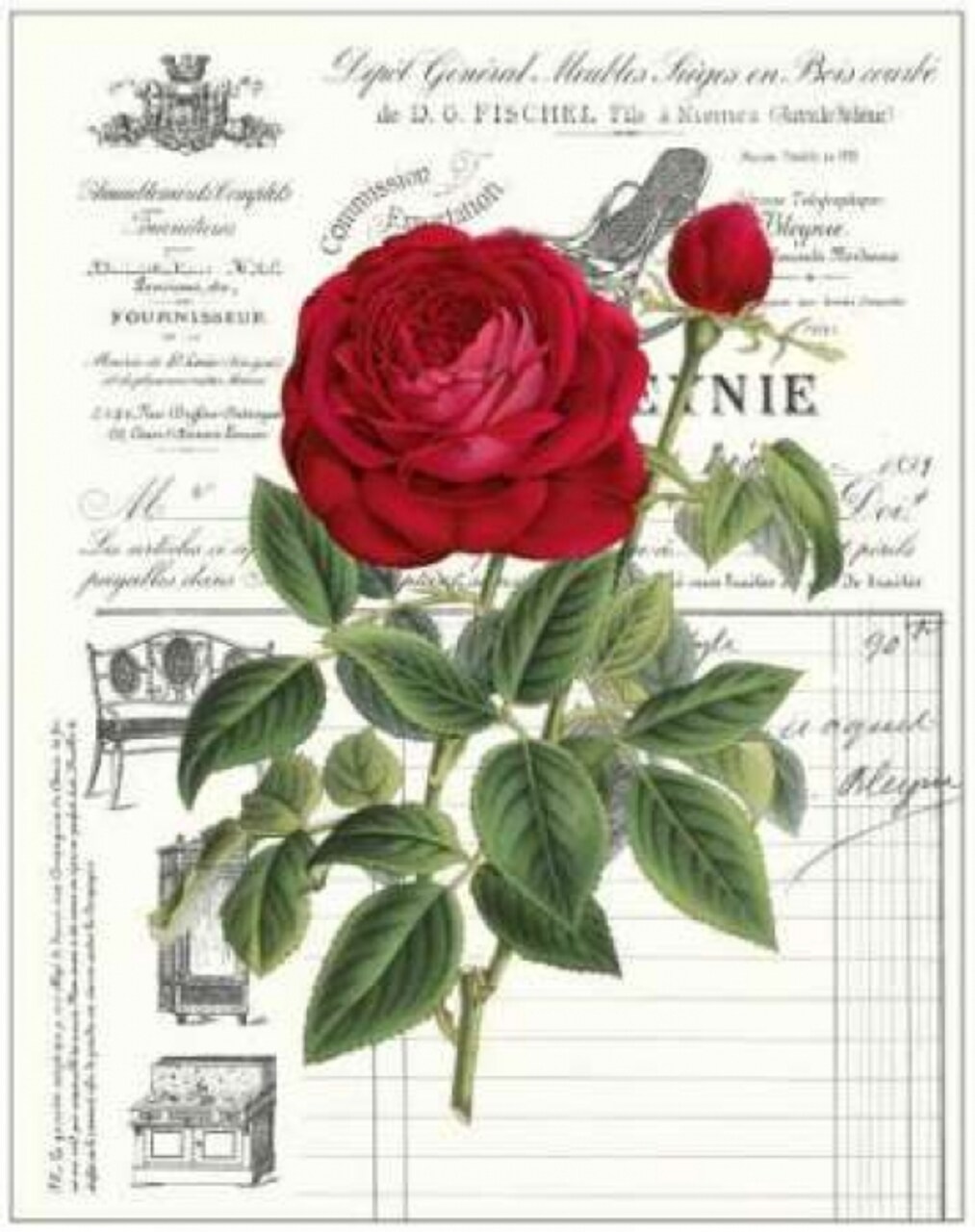Heirloom Roses B Poster Print by Sarah E Chilton - Item # VARPDXCC2914B